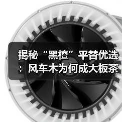 揭秘“黑檀”平替优选:风车木为何成大板茶桌高端材质新宠?(图4) 揭秘“黑檀”平替优选:风车木为何成大板茶桌高端材质新宠?(图4)