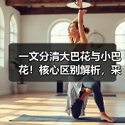 一文分清大巴花与小巴花!核心区别解析,采购避坑必看(图3) 一文分清大巴花与小巴花!核心区别解析,采购避坑必看(图3)