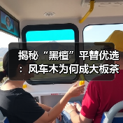 揭秘“黑檀”平替优选:风车木为何成大板茶桌高端材质新宠?(图1) 揭秘“黑檀”平替优选:风车木为何成大板茶桌高端材质新宠?(图1)