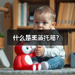 什么是熏蒸托箱?(图3) 什么是熏蒸托箱?(图3)