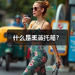 什么是熏蒸托箱?(图4) 什么是熏蒸托箱?(图4)