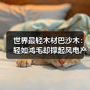 世界最轻木材巴沙木:轻如鸿毛却撑起风电产业半边天(图1) 世界最轻木材巴沙木:轻如鸿毛却撑起风电产业半边天(图1)