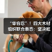 “零容忍”!四大木材组织联合表态:坚决抵制从这两国进口(图4) “零容忍”!四大木材组织联合表态:坚决抵制从这两国进口(图4)