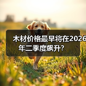 木材价格最早将在2026年二季度飙升?(图2) 木材价格最早将在2026年二季度飙升?(图2)