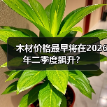 木材价格最早将在2026年二季度飙升?(图4) 木材价格最早将在2026年二季度飙升?(图4)