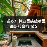 首次!林业巨头破冰墨西哥胶合板市场(图1) 首次!林业巨头破冰墨西哥胶合板市场(图1)