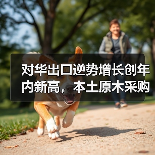 对华出口逆势增长创年内新高,本土原木采购量大幅收缩(图3) 对华出口逆势增长创年内新高,本土原木采购量大幅收缩(图3)
