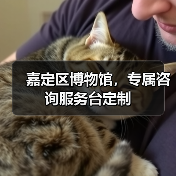 嘉定区博物馆,专属咨询服务台定制(图2) 嘉定区博物馆,专属咨询服务台定制(图2)