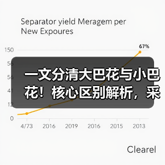 一文分清大巴花与小巴花!核心区别解析,采购避坑必看(图3) 一文分清大巴花与小巴花!核心区别解析,采购避坑必看(图3)