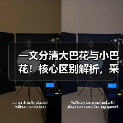 一文分清大巴花与小巴花!核心区别解析,采购避坑必看(图1) 一文分清大巴花与小巴花!核心区别解析,采购避坑必看(图1)