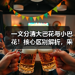 一文分清大巴花与小巴花!核心区别解析,采购避坑必看(图2) 一文分清大巴花与小巴花!核心区别解析,采购避坑必看(图2)