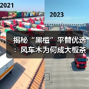 揭秘“黑檀”平替优选:风车木为何成大板茶桌高端材质新宠?(图3) 揭秘“黑檀”平替优选:风车木为何成大板茶桌高端材质新宠?(图3)