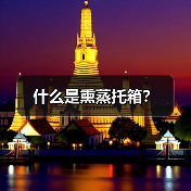 什么是熏蒸托箱?(图1) 什么是熏蒸托箱?(图1)