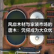 风靡木材与家装市场的唐木:凭何成为大众优选材种?(图3) 风靡木材与家装市场的唐木:凭何成为大众优选材种?(图3)