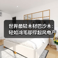 世界最轻木材巴沙木:轻如鸿毛却撑起风电产业半边天(图4) 世界最轻木材巴沙木:轻如鸿毛却撑起风电产业半边天(图4)