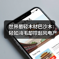 世界最轻木材巴沙木:轻如鸿毛却撑起风电产业半边天(图2) 世界最轻木材巴沙木:轻如鸿毛却撑起风电产业半边天(图2)
