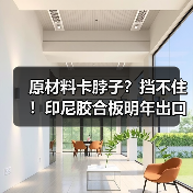 原材料卡脖子?挡不住!印尼胶合板明年出口还要涨!中国等市场是靠山(图2) 原材料卡脖子?挡不住!印尼胶合板明年出口还要涨!中国等市场是靠山(图2)