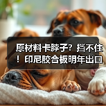 原材料卡脖子?挡不住!印尼胶合板明年出口还要涨!中国等市场是靠山(图1) 原材料卡脖子?挡不住!印尼胶合板明年出口还要涨!中国等市场是靠山(图1)