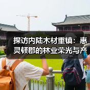 探访内陆木材重镇:惠灵顿郡的林业荣光与产业活力(图2) 探访内陆木材重镇:惠灵顿郡的林业荣光与产业活力(图2)