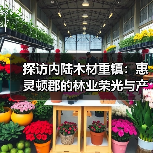 探访内陆木材重镇:惠灵顿郡的林业荣光与产业活力(图1) 探访内陆木材重镇:惠灵顿郡的林业荣光与产业活力(图1)