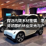 探访内陆木材重镇:惠灵顿郡的林业荣光与产业活力(图4) 探访内陆木材重镇:惠灵顿郡的林业荣光与产业活力(图4)