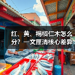 红、黄、褐榄仁木怎么分?一文厘清核心差异与应用边界(图2) 红、黄、褐榄仁木怎么分?一文厘清核心差异与应用边界(图2)