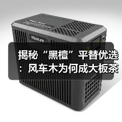 揭秘“黑檀”平替优选:风车木为何成大板茶桌高端材质新宠?(图1) 揭秘“黑檀”平替优选:风车木为何成大板茶桌高端材质新宠?(图1)