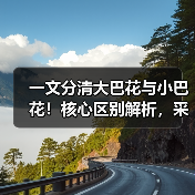 一文分清大巴花与小巴花!核心区别解析,采购避坑必看(图3) 一文分清大巴花与小巴花!核心区别解析,采购避坑必看(图3)