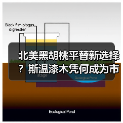 北美黑胡桃平替新选择?斯温漆木凭何成为市场新宠(图3) 北美黑胡桃平替新选择?斯温漆木凭何成为市场新宠(图3)