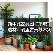 新中式家具圈“顶流”选材:爱里古夷苏木凭什么圈粉无数?(图4) 新中式家具圈“顶流”选材:爱里古夷苏木凭什么圈粉无数?(图4)