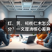 红、黄、褐榄仁木怎么分?一文厘清核心差异与应用边界(图3) 红、黄、褐榄仁木怎么分?一文厘清核心差异与应用边界(图3)