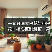 一文分清大巴花与小巴花!核心区别解析,采购避坑必看(图2) 一文分清大巴花与小巴花!核心区别解析,采购避坑必看(图2)
