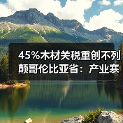 45%木材关税重创不列颠哥伦比亚省:产业寒冬下的生存挑战(图1) 45%木材关税重创不列颠哥伦比亚省:产业寒冬下的生存挑战(图1)