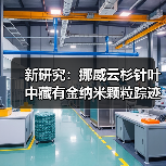 新研究:挪威云杉针叶中藏有金纳米颗粒踪迹(图4) 新研究:挪威云杉针叶中藏有金纳米颗粒踪迹(图4)