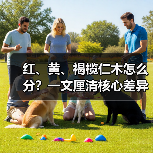 红、黄、褐榄仁木怎么分?一文厘清核心差异与应用边界(图4) 红、黄、褐榄仁木怎么分?一文厘清核心差异与应用边界(图4)
