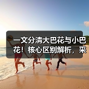 一文分清大巴花与小巴花!核心区别解析,采购避坑必看(图3) 一文分清大巴花与小巴花!核心区别解析,采购避坑必看(图3)