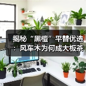 揭秘“黑檀”平替优选:风车木为何成大板茶桌高端材质新宠?(图4) 揭秘“黑檀”平替优选:风车木为何成大板茶桌高端材质新宠?(图4)