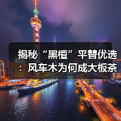 揭秘“黑檀”平替优选:风车木为何成大板茶桌高端材质新宠?(图1) 揭秘“黑檀”平替优选:风车木为何成大板茶桌高端材质新宠?(图1)