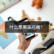 什么是熏蒸托箱?(图2) 什么是熏蒸托箱?(图2)