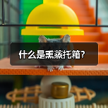什么是熏蒸托箱?(图3) 什么是熏蒸托箱?(图3)