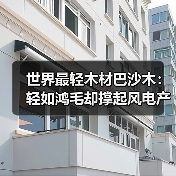 世界最轻木材巴沙木:轻如鸿毛却撑起风电产业半边天(图2) 世界最轻木材巴沙木:轻如鸿毛却撑起风电产业半边天(图2)