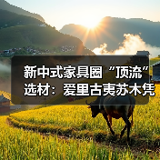 新中式家具圈“顶流”选材:爱里古夷苏木凭什么圈粉无数?(图1) 新中式家具圈“顶流”选材:爱里古夷苏木凭什么圈粉无数?(图1)