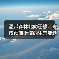 温带森林北向迁移:未按预期上演的生态变迁(图1) 温带森林北向迁移:未按预期上演的生态变迁(图1)