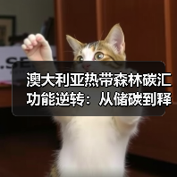 澳大利亚热带森林碳汇功能逆转:从储碳到释碳的警示(图3) 澳大利亚热带森林碳汇功能逆转:从储碳到释碳的警示(图3)