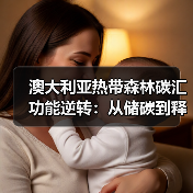 澳大利亚热带森林碳汇功能逆转:从储碳到释碳的警示(图2) 澳大利亚热带森林碳汇功能逆转:从储碳到释碳的警示(图2)