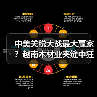 中美关税大战最大赢家?越南木材业夹缝中狂赚“过路费”!(图1) 中美关税大战最大赢家?越南木材业夹缝中狂赚“过路费”!(图1)