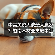 中美关税大战最大赢家?越南木材业夹缝中狂赚“过路费”!(图4) 中美关税大战最大赢家?越南木材业夹缝中狂赚“过路费”!(图4)