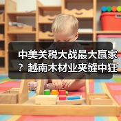 中美关税大战最大赢家?越南木材业夹缝中狂赚“过路费”!(图3) 中美关税大战最大赢家?越南木材业夹缝中狂赚“过路费”!(图3)