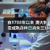 自1788年以来 澳大利亚成熟森林已消失三分之二(图4) 自1788年以来 澳大利亚成熟森林已消失三分之二(图4)