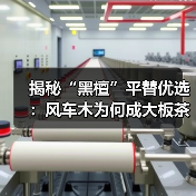 揭秘“黑檀”平替优选:风车木为何成大板茶桌高端材质新宠?(图1) 揭秘“黑檀”平替优选:风车木为何成大板茶桌高端材质新宠?(图1)